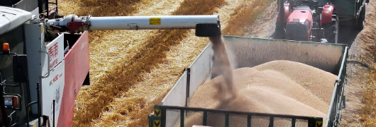 CA88(中国游)唯一官方网站