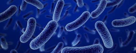 CA88(中国游)唯一官方网站