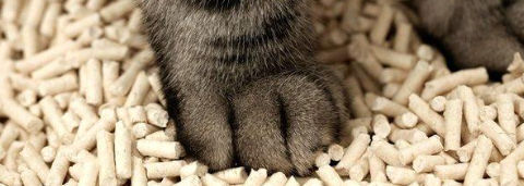 CA88(中国游)唯一官方网站