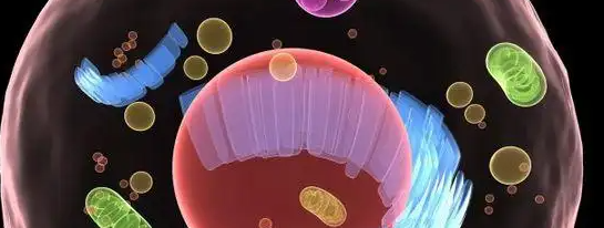 CA88(中国游)唯一官方网站