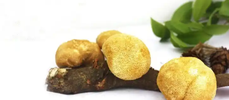 CA88(中国游)唯一官方网站