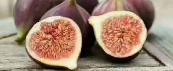 CA88(中国游)唯一官方网站