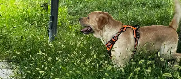 CA88(中国游)唯一官方网站