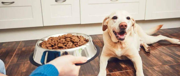 CA88(中国游)唯一官方网站