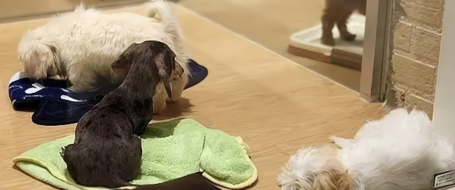 CA88(中国游)唯一官方网站