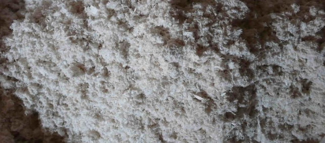 CA88(中国游)唯一官方网站