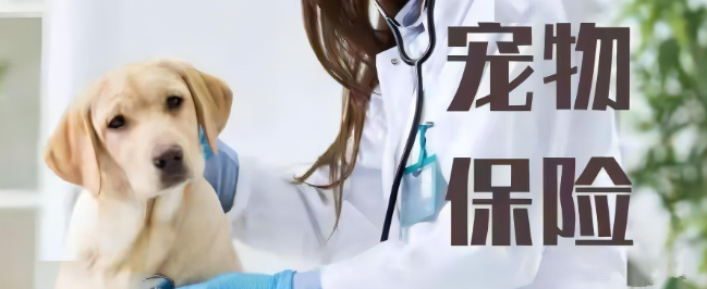 CA88(中国游)唯一官方网站