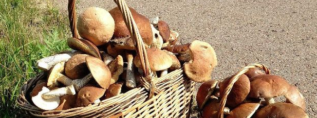 CA88(中国游)唯一官方网站