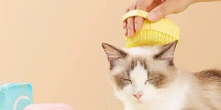 CA88(中国游)唯一官方网站