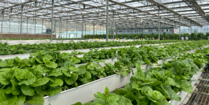 CA88(中国游)唯一官方网站