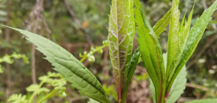 CA88(中国游)唯一官方网站