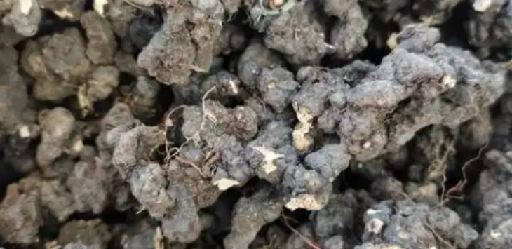 CA88(中国游)唯一官方网站