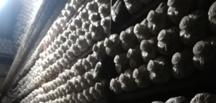 CA88(中国游)唯一官方网站