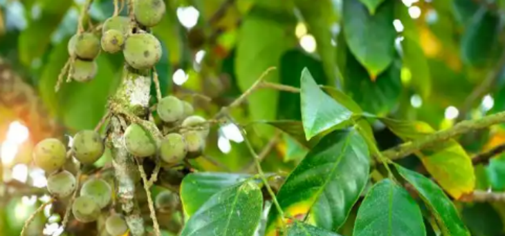 CA88(中国游)唯一官方网站