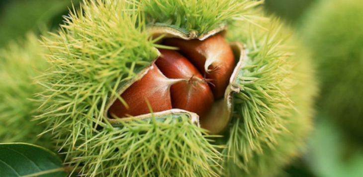 CA88(中国游)唯一官方网站