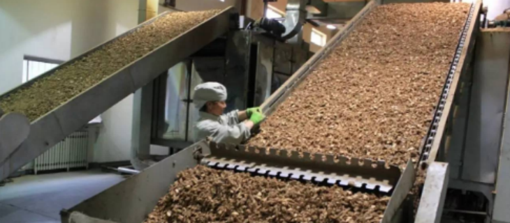 CA88(中国游)唯一官方网站