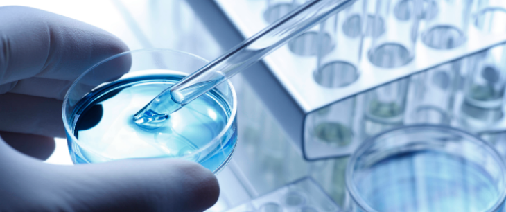 CA88(中国游)唯一官方网站