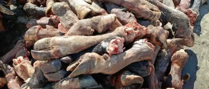 CA88(中国游)唯一官方网站