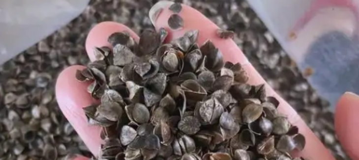 CA88(中国游)唯一官方网站