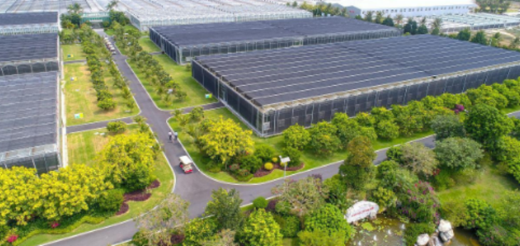 CA88(中国游)唯一官方网站