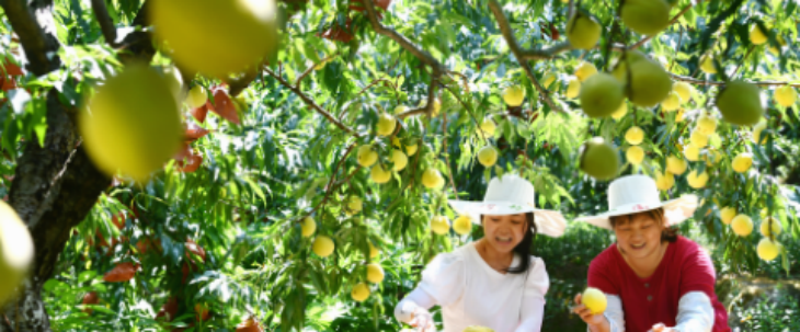 CA88(中国游)唯一官方网站