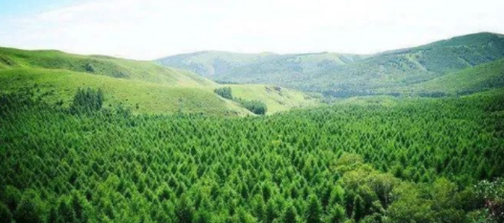 CA88(中国游)唯一官方网站