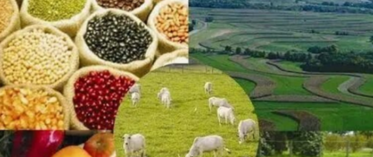 CA88(中国游)唯一官方网站