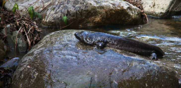 CA88(中国游)唯一官方网站